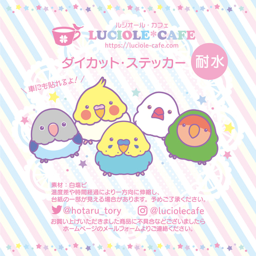 オキナインコ＊耐水ステッカー シール・ステッカー LUCIOLE*CAFE