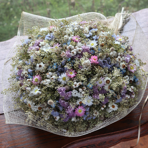 50cm) マメグンバイナズナと淡い小花のお花畑スワッグ/ドライフラワー