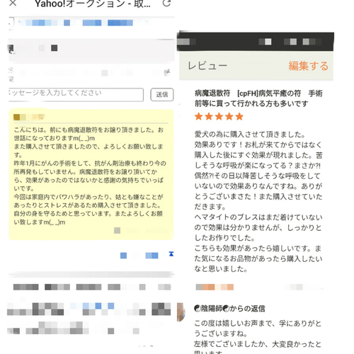 財寳充溢五穀豐饒御秘符☯人形代手書き[WZNP]商売繁盛、五穀豐饒