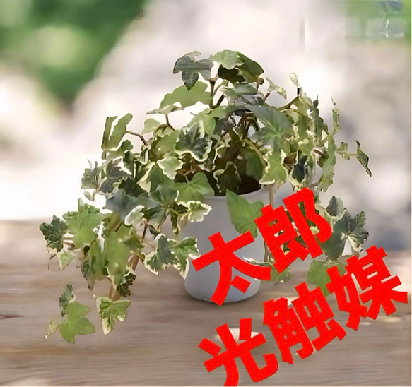 光触媒　人工観葉植物　ウォールグリーン　フェイクグリーン　アイビーポトス1204 光触媒 人工観葉植物 ウォールグリーン フェイクグリーン
