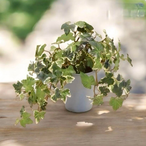 光触媒 人工観葉植物 ウォールグリーン フェイクグリーン ミックス