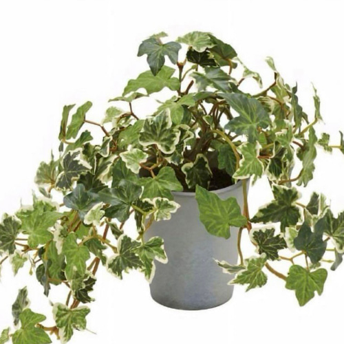 光触媒 人工観葉植物 ウォールグリーン フェイクグリーン