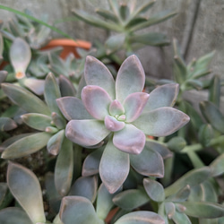 e10c285ef28b1fc0f7d7ef8eb65375