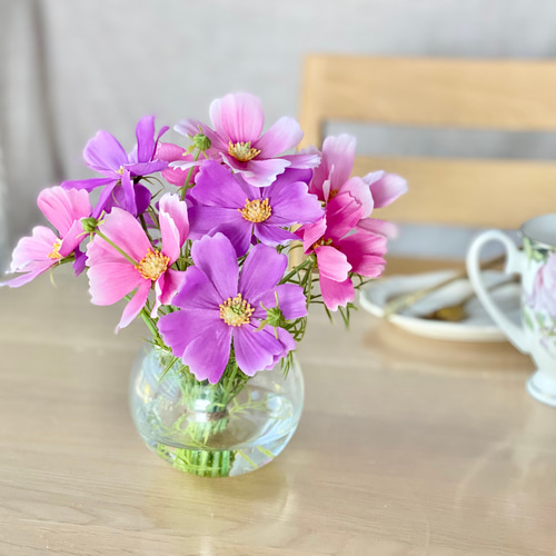本物みたいに可愛い♪3色のコスモスを水ジェルに生けた水やり＆お