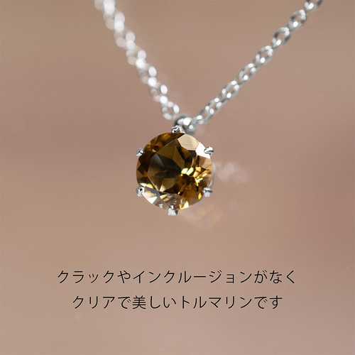 ドラバイト（ブラウントルマリン）ネックレス☆サージカルステンレス 