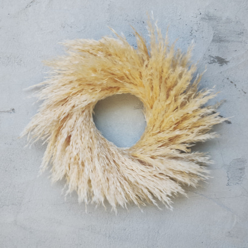 パンパスグラスリース【受注制作アイテム】秋のリース ドライフラワー  