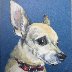 受注制作】和紙ちぎり絵 ペットポートレート肖像画 切り絵 Wanko