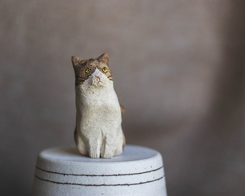 915204b1dd4cfcf6c5ae4d6e38d541