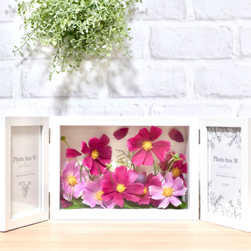 秋桜が咲く風景のフォトフレーム フォトフレーム・写真立て nozomi