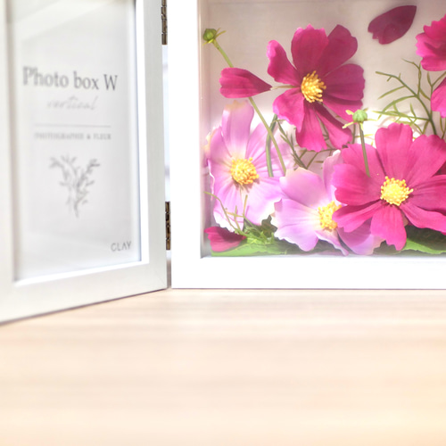 秋桜が咲く風景のフォトフレーム フォトフレーム・写真立て nozomi