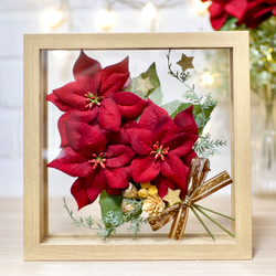 ポインセチアの花束 プリザーブドフラワー nozomi 通販 18219854