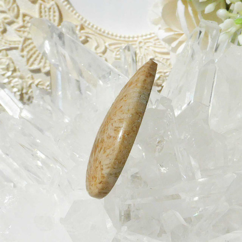 COCO＊＊ 14kgf お花畑フォッシルコーラル ピアス COCO＊＊ 14kgf