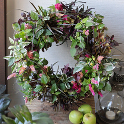 青リンゴつき❤︎褐色リーフとけいとうの秋リース寄せ植え 多肉