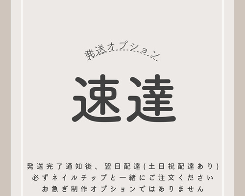 ネイルチップ　お急ぎ24 速達 beb9addff8fa31aa1f8fca9dab5d74