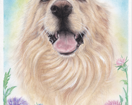 7f83d782410512fa03cc457f02bcce