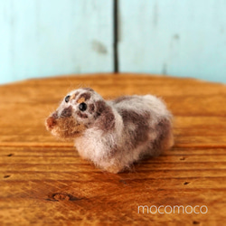 羊毛フェルト チンチラ 羊毛フェルト kanken 通販 17053666｜Creema