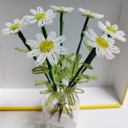 リームンロー★マーガレット★小花いっぱい(白) Amazon.co.jp: マーガレット 白 花の種 ラスト一袋 : DIY・工具