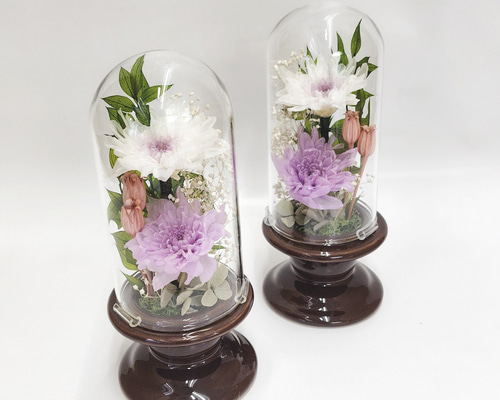 プリザーブドフラワー仏花対ガラスドーム大輪菊 プリザーブドフラワー ガラスドーム仏花(ミックスグリーン