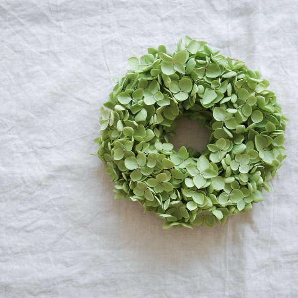 アナベルこんもり まんまるのリース ドライフラワー Rside flowerwork  