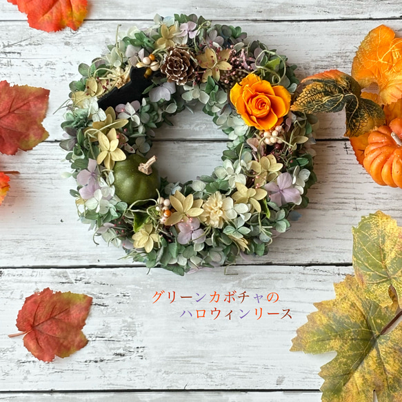 リース281グリーンリース