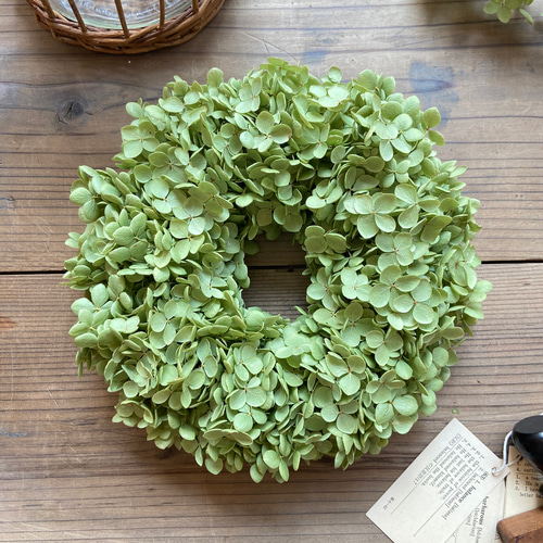 まんまるグリーンのアナベルリース ドライフラワー acorire 通販  