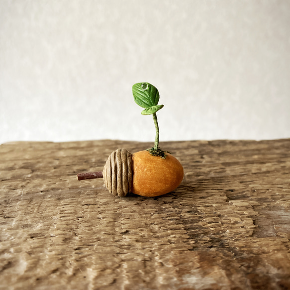 8995.bud 粘土のどんぐり その他インテリア雑貨 bud 通販 18223060