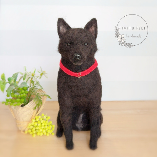 YT様　甲斐犬　羊毛フェルト　確認用 YT様甲斐犬羊毛フェルト確認用