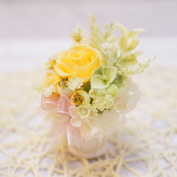 母の日ギフトにぴったり！　ミニローズアレンジメント　プリザーブドフラワー　ケース付き　３色 18枚目の画像