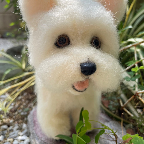 羊毛フェルト　ウエストハイランドホワイトテリア 羊毛フェルト犬 ＜ウエスト・ハイランド・ホワイト・テリア＞ 羊毛