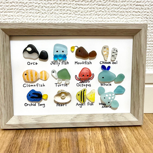 ☆シーグラスアート☆ No.35☆『図鑑シリーズ。海の生き物達』9