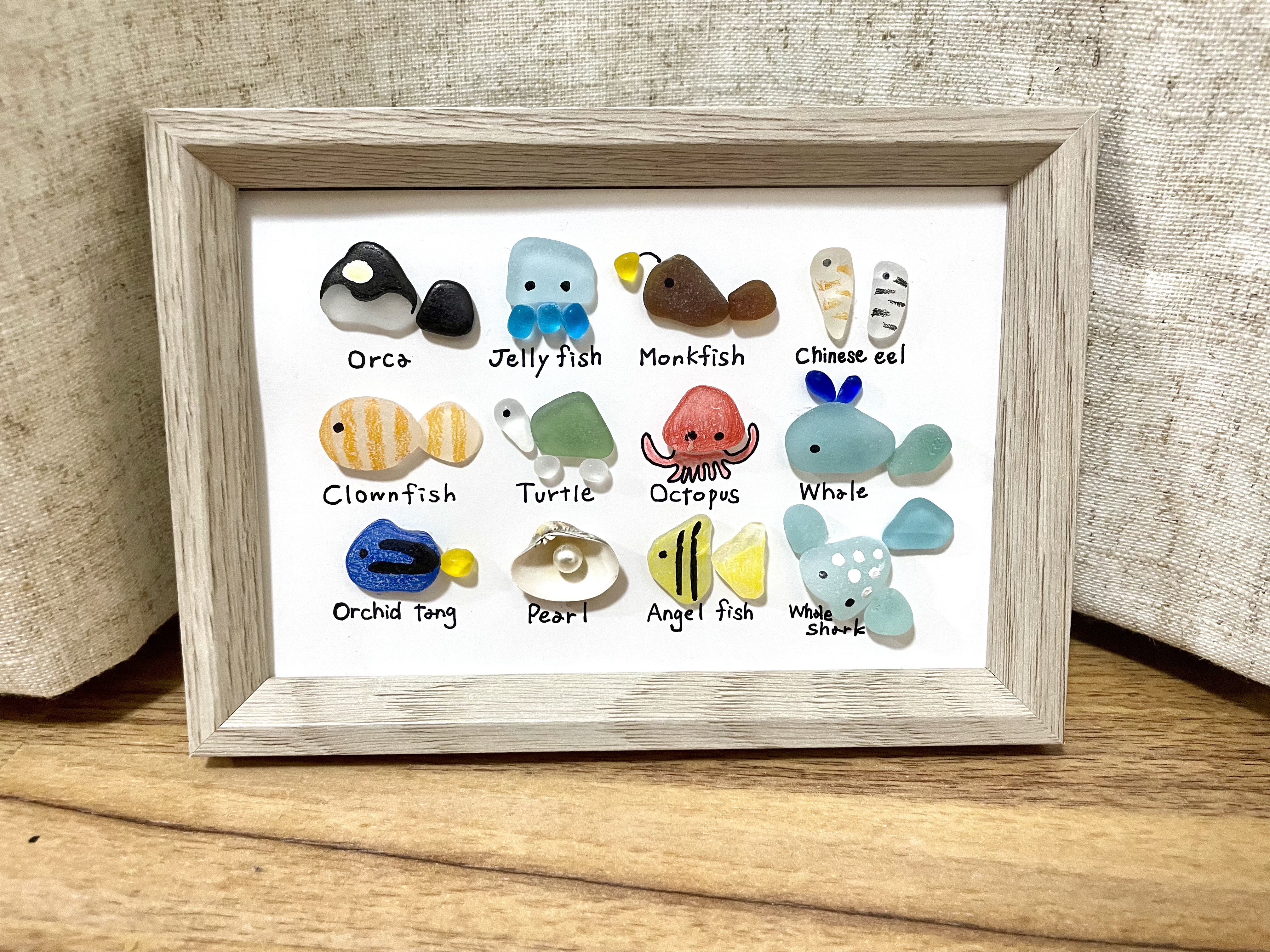 図鑑　海の生き物　父の日　ギフト　プレゼント 24種シーグラスアート☆No376