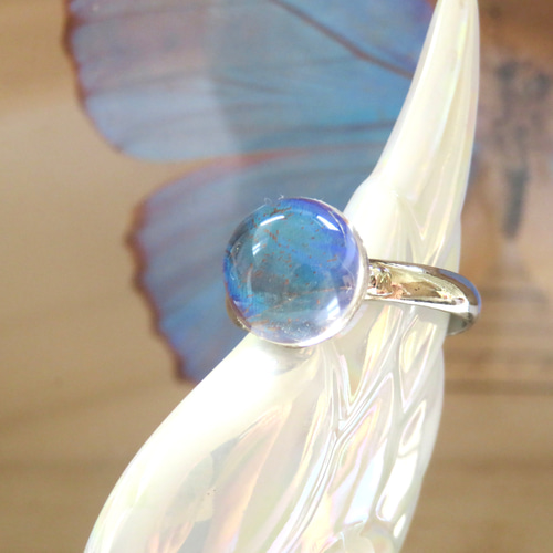 わけあり！宝石になったモルフォ蝶のリング ／本物の蝶の羽根封入 指輪