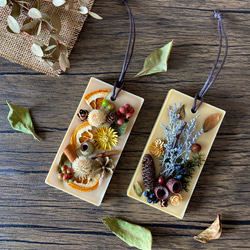 超レアなアオダモ種子（50粒）日本で減少している雑木の珍しい種子です