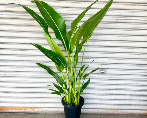 2f2491831dc010f9fe9d11f5f64eae