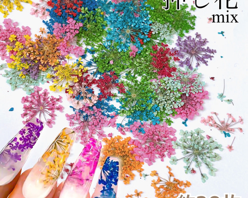トゲトゲ 楽天市場】ドライフラワー パーツ） ネイル レジン 829 あ様◆【ドライフラワー】花びらフレーク♡（ 花びら 封入 金箔 ネイル レジン 押し花・ドライフラワー花材