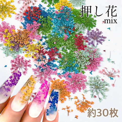 ネイル レジン 押し花 レースドライフラワーセット カラフルMIX その他 