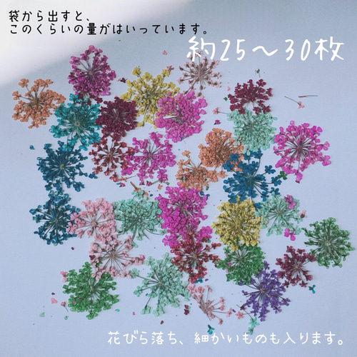 ネイル レジン 押し花 レースドライフラワーセット カラフルMIX その他