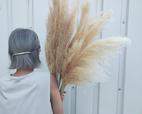 パンパスグラス　３０本 パンパスグラス 30本 - メルカリ