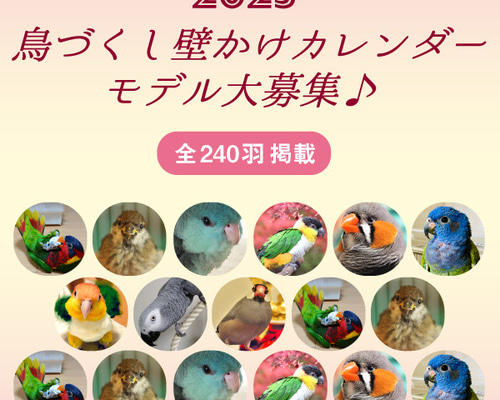 2025年壁掛けカレンダーの鳥モデルを大募集！ インコ 小鳥
