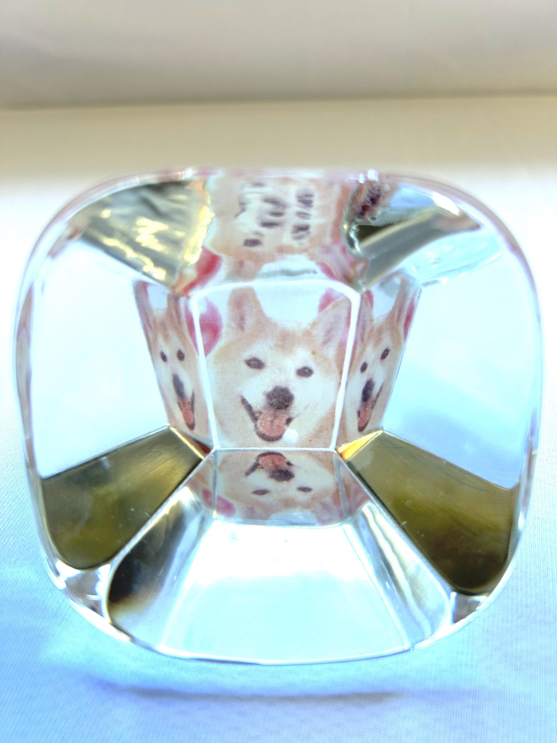 【受注製作】ガラスのオブジェ　柴犬かえでさんのパラレルワールド(あなたの家族、大切な人も承ります)