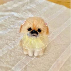 羊毛フェルト ポメラニアン 犬 ミニチュア インテリア 羊毛
