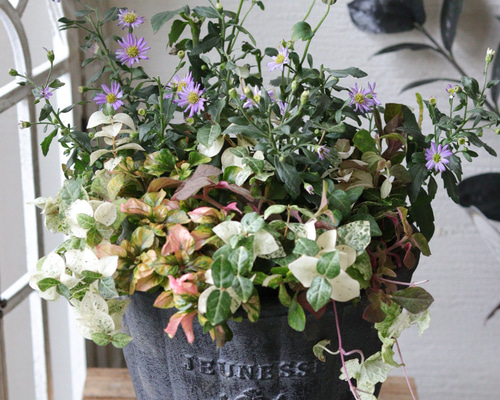 寄せ植え　花■秋の寄せ植え 寄せ植え 花□秋の寄せ植え アートフラワー もりのflowers 通販