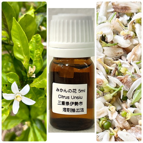 ネロリみたいな香り✨みかんの花 精油 5ml みかんネロリ その他素材