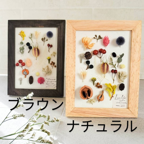 自然の形と色を飾る 植物標本 フレームアレンジ 木の実 フラワーギフト