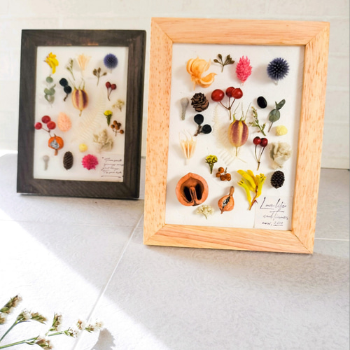 自然の形と色を飾る 植物標本 フレームアレンジ 木の実 フラワーギフト