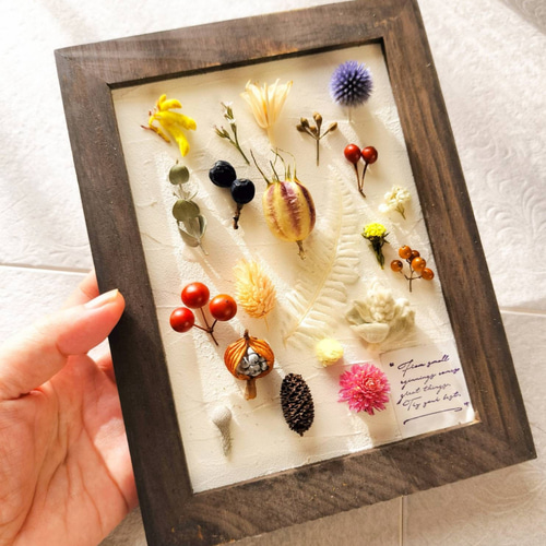 自然の形と色を飾る 植物標本 フレームアレンジ 木の実 フラワーギフト