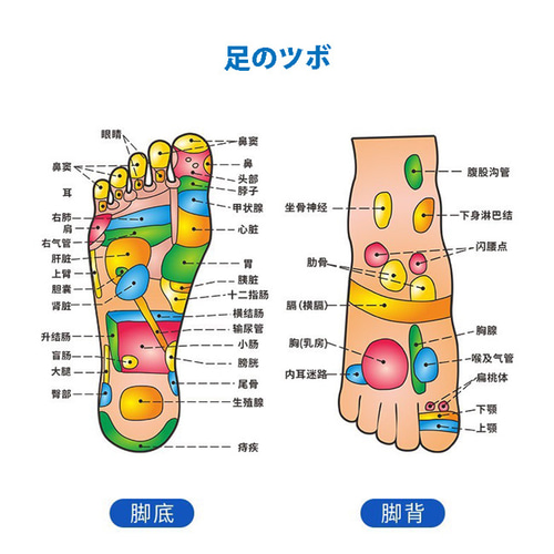 謎のツボ Amazon.co.jp: ツボ押しクマちゃん 4．6×12．1cm ［色