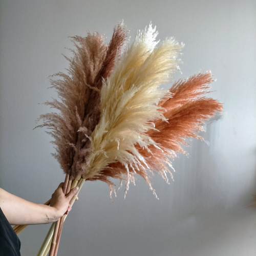 新生活 茶系パンパスグラス3色セット ドライフラワー インテリア