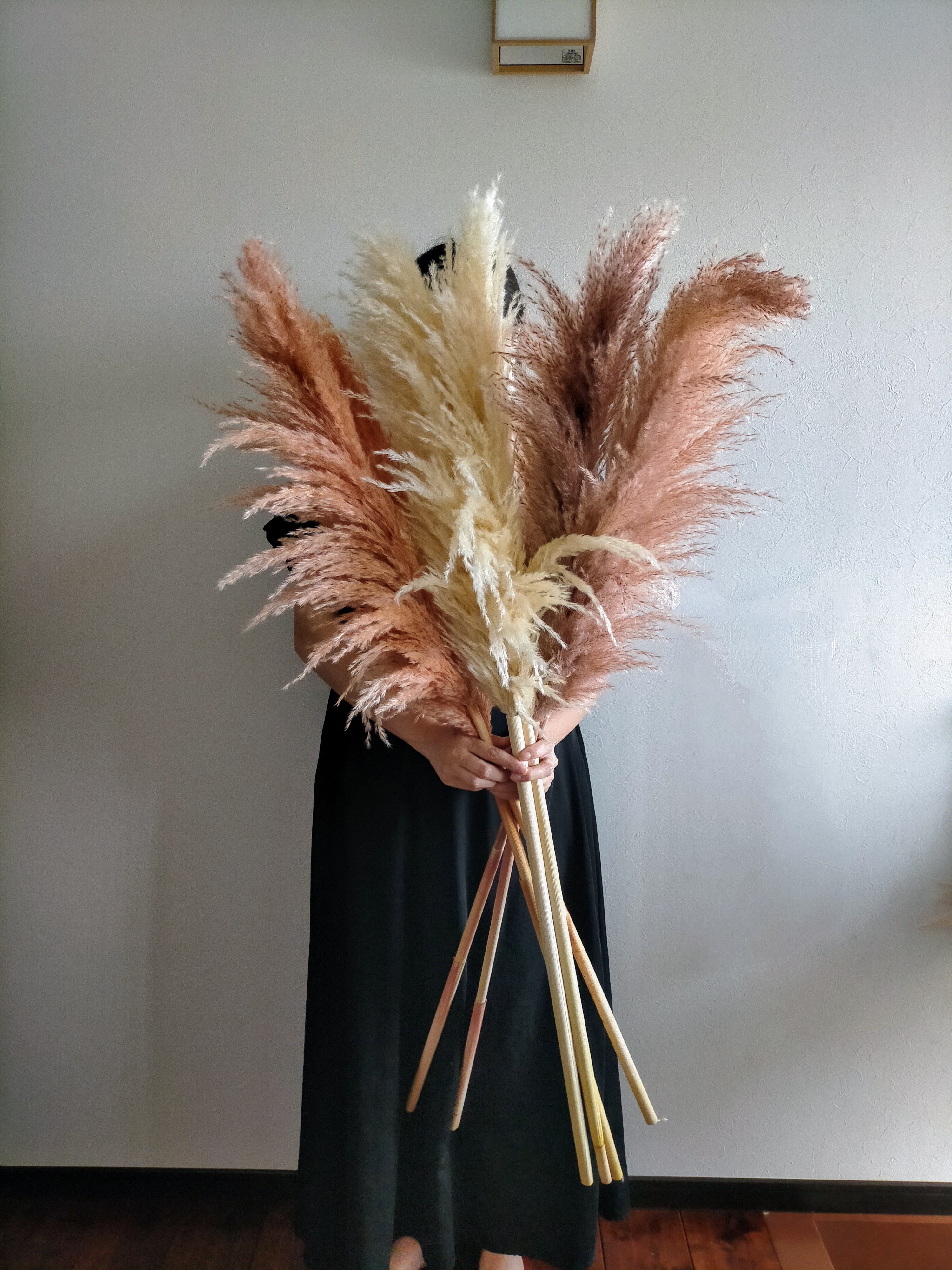 パンパスグラス　約300本　ブラウン＆ライトブラウン 50-60㎝ ハンドメイド