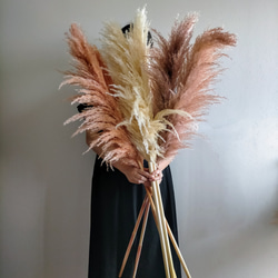 新生活 茶系パンパスグラス3色セット ドライフラワー インテリア